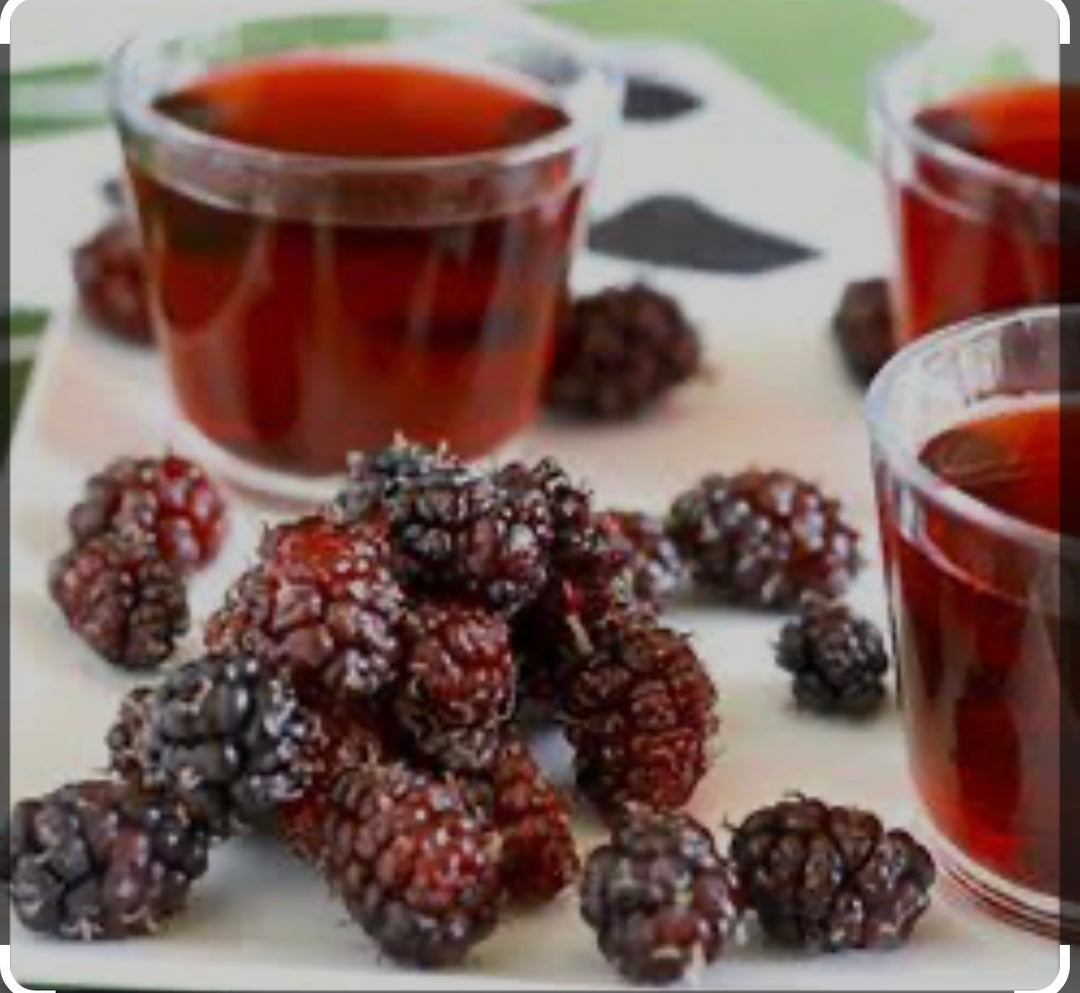 Mulberry Liquid Extract