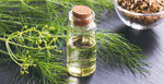 Load image into Gallery viewer, Fennel Essential Oil