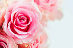 Load image into Gallery viewer, Fresh Cut Rose Fragrance Oil By Crafter's Choice