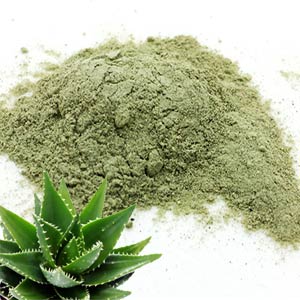 aloe barbadensis leaf powder Aloe Vera Extract Powder – Deoorganic