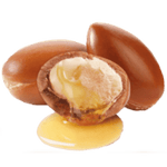 Load image into Gallery viewer, Morrocan Argan carrier Oil-Organic' Refined