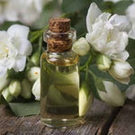 Load image into Gallery viewer, Oregano Essential Oil..