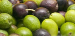 Load image into Gallery viewer, Olive Squalane Oil -