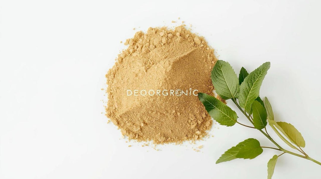 GOTU KOLA EXTRACT POWDER