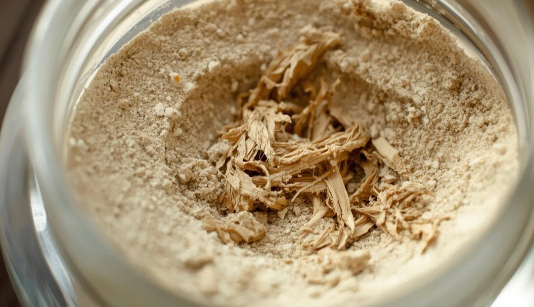 White Willow Bark Extract