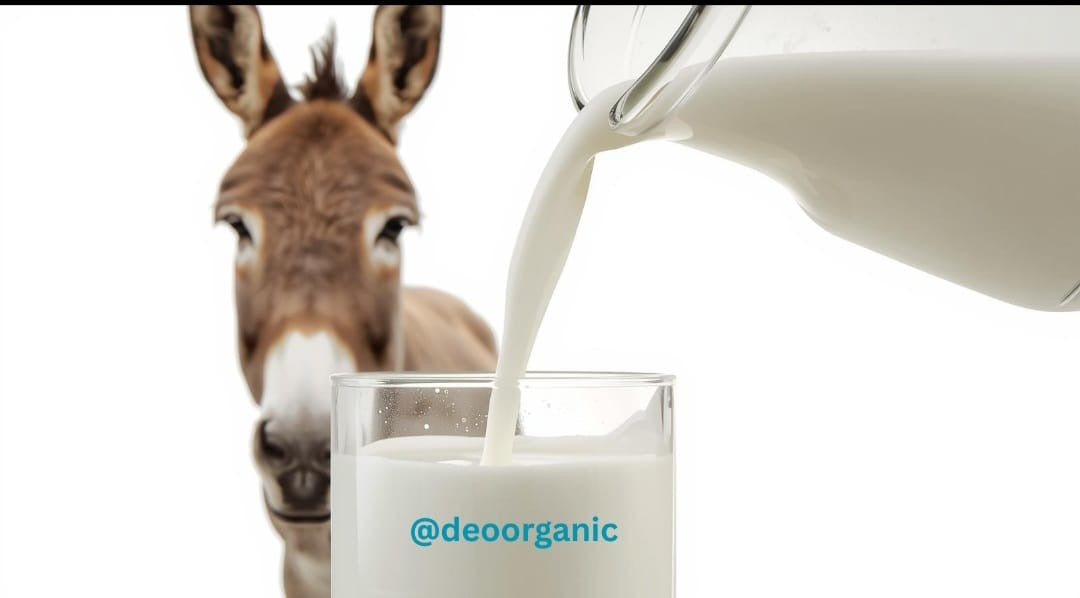 HYDROLIZED  MILK PROTEIN LIQUID