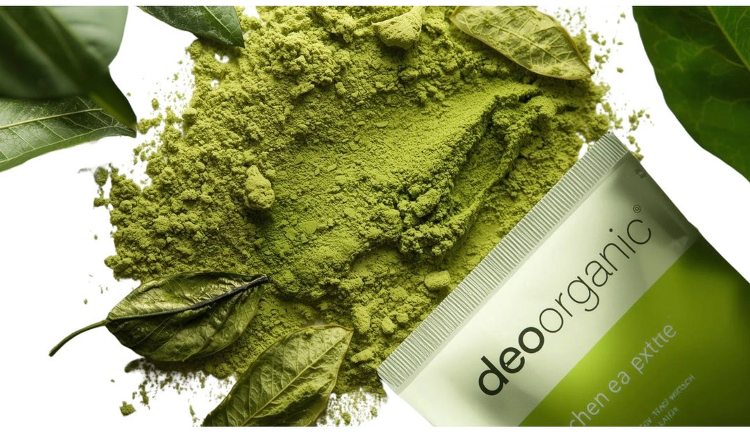 MATCHA A GREEN  TEA EXTRACT POWDER