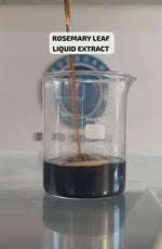 Load and play video in Gallery viewer, Rosemary leaf Liquid Extract