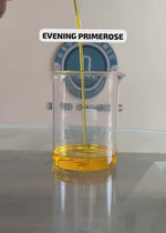 Load and play video in Gallery viewer, Evening Primerose-Organic