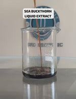 Load and play video in Gallery viewer, Sea Buckthorn Liquid Extract