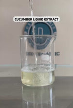 Load and play video in Gallery viewer, Cucumber Liquid Extract- 100% Natural (Standardized)